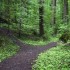 fork-in-the-road2