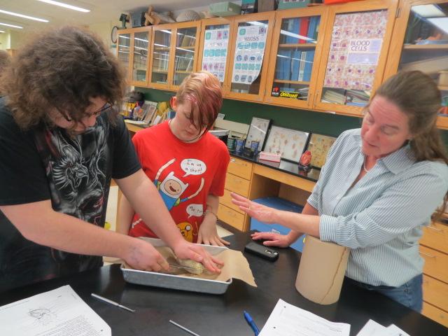 WHS students Drake Butler and Kara Donnelly work on a dissection while Mrs. Holden advises.