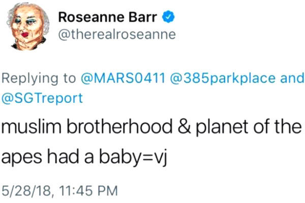 The Real Issue with the Roseanne Tweet