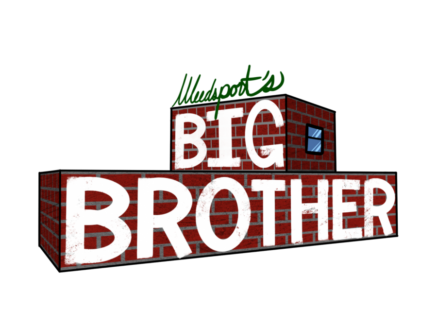 Weedsports Big Brother 1 Pre-Double Eviction Player Rankings