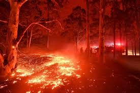 Australian Fires Will Leave Lasting Impact