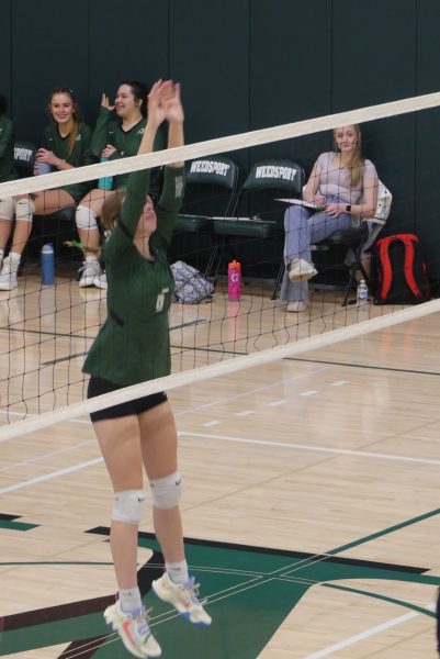 Olivia Quinn goes up for a block in a recent game against Pulaski.