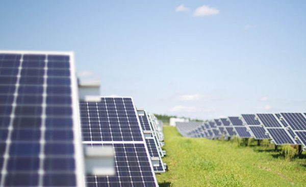 Solar Farms: A Great Source of Renewable Energy With Some Downside